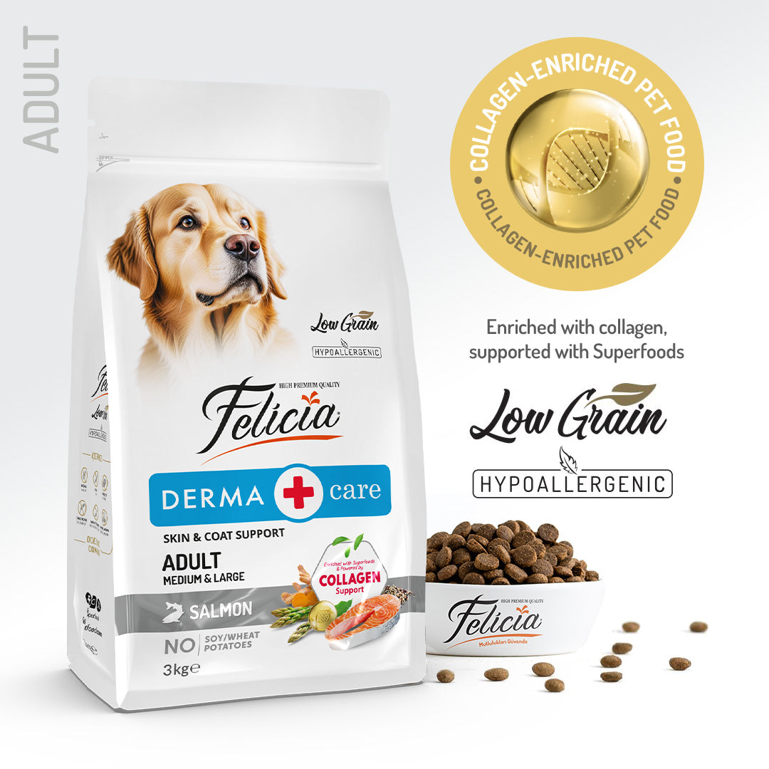 Felicia Hrană hipoalergenică pentru câini adulți cu somon și colagen 3 kg