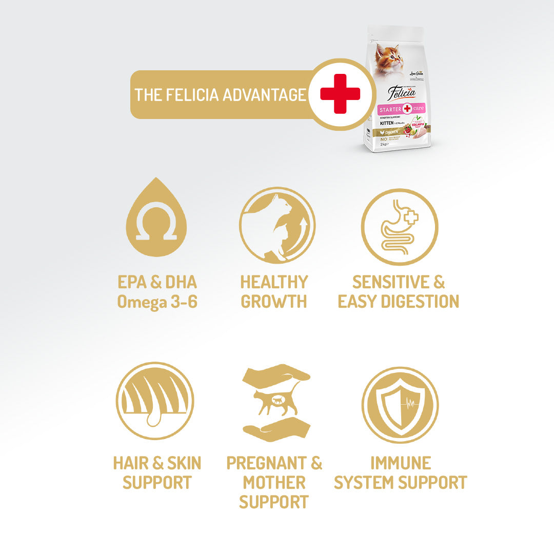 Felicia Hrană Hipoalergenică Pentru Pisoi Cu Pui Şi Colagen 12KG