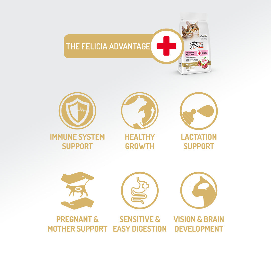 Felicia Hrană hipoalergenică pentru pisoi cu pui și colagen 2 kg