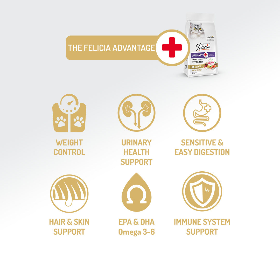 Felicia Hrană hipoalergenică pentru pisici adulte pe bază de somon cu colagen 12 kg