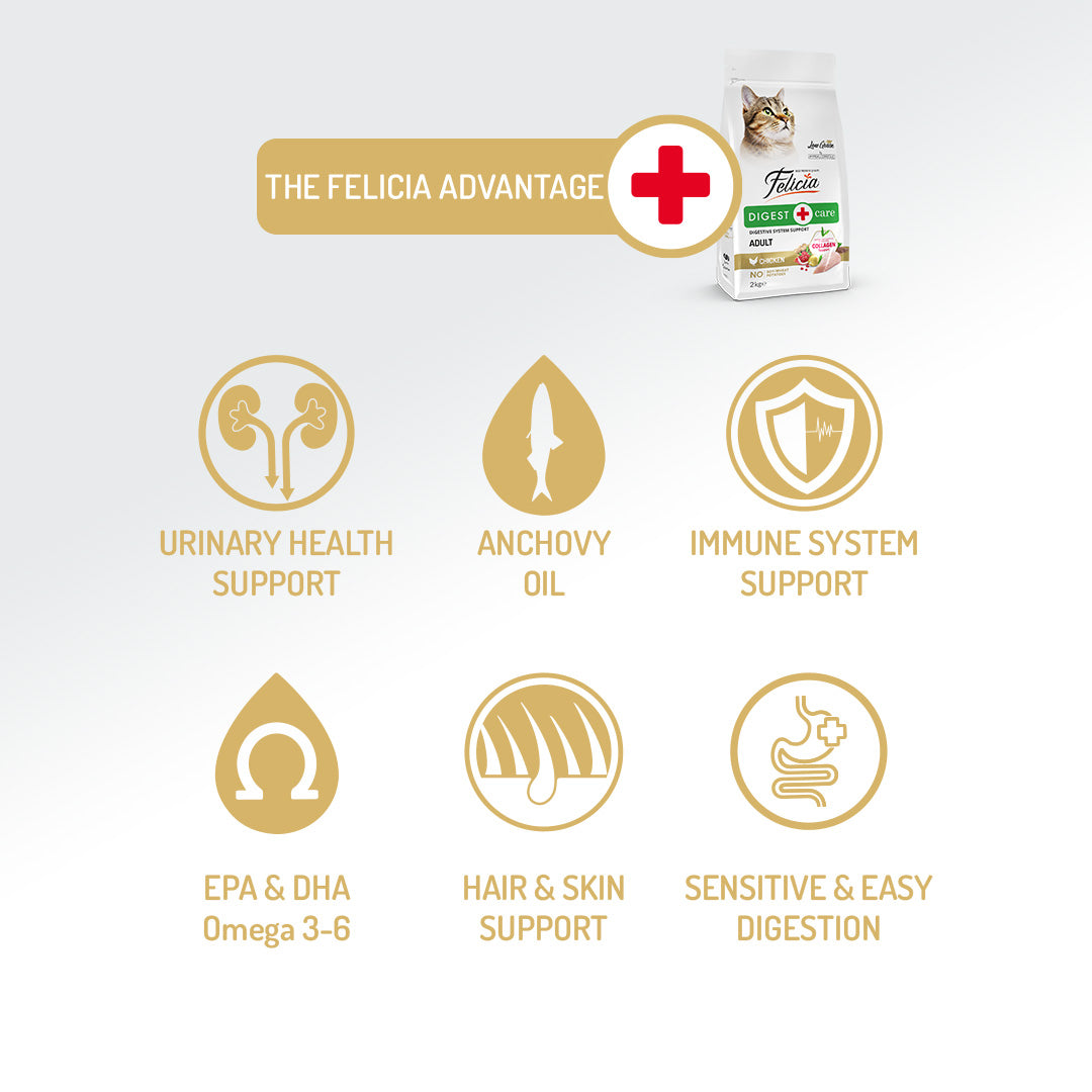 Felicia Hrană hipoalergenică pentru pisici adulte cu pui și colagen 12 kg