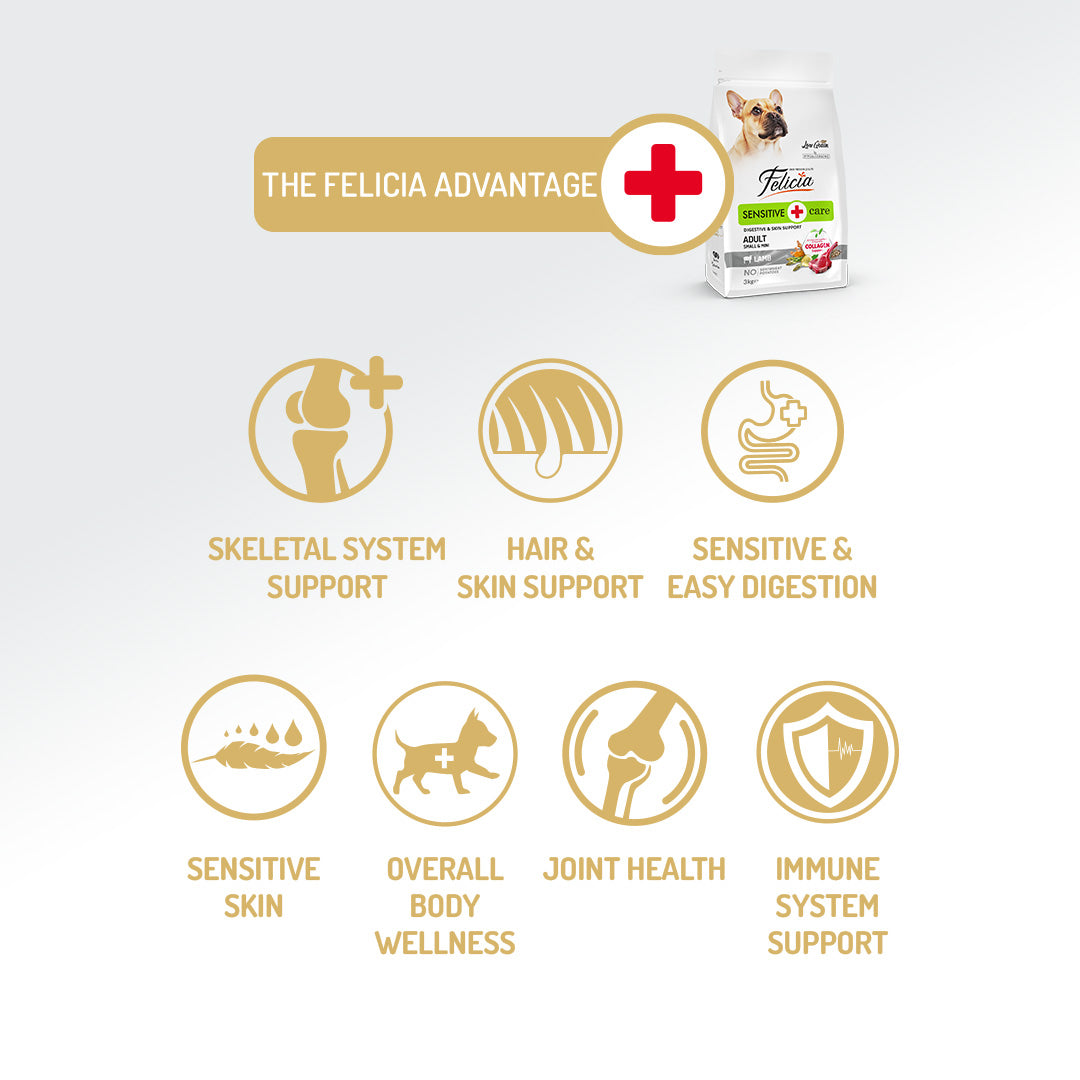 Felicia Hrană hipoalergenică pentru câini adulți de talie mică, cu miel și colagen 6 kg