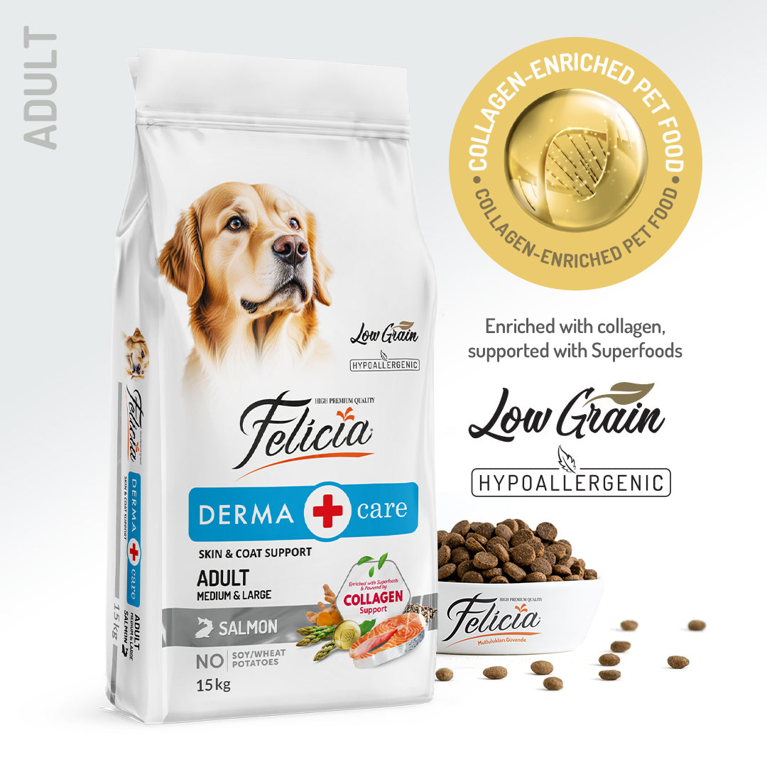 Felicia Hrană hipoalergenică pentru câini adulți cu somon și colagen 15 kg