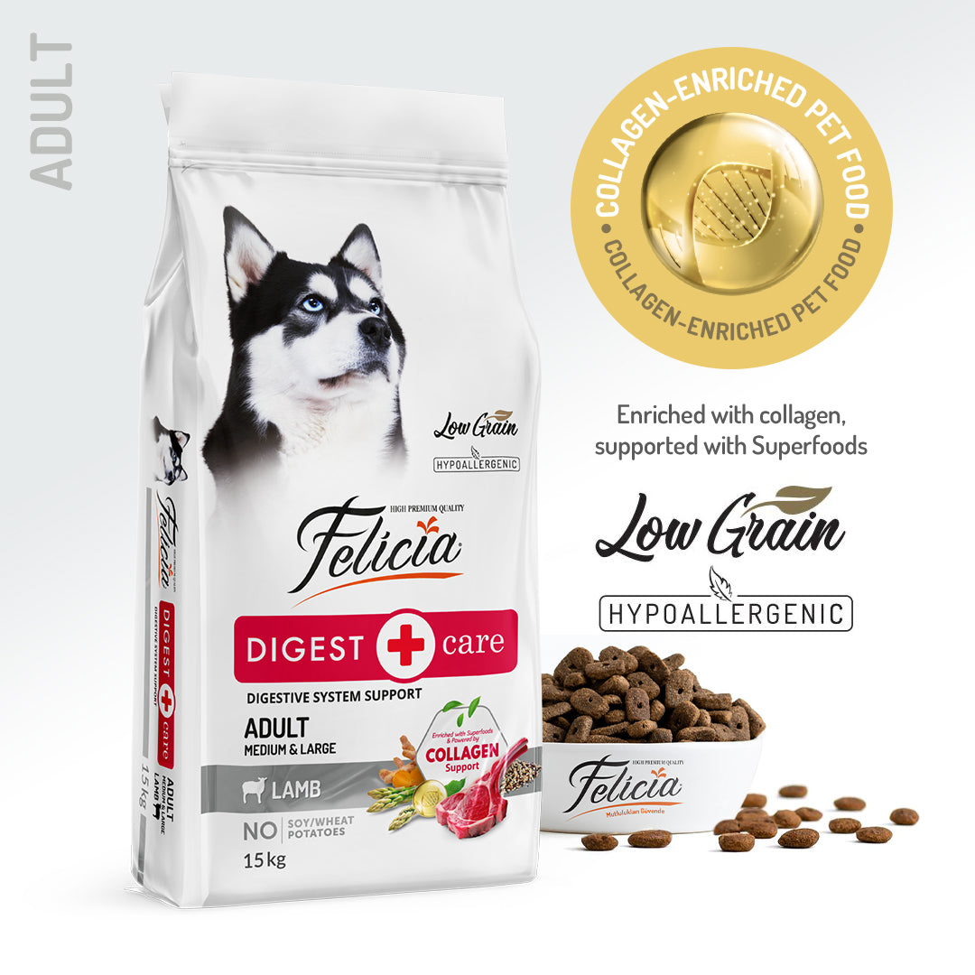 Felicia Hrană hipoalergenică pentru câini adulți cu miel și colagen 15 kg