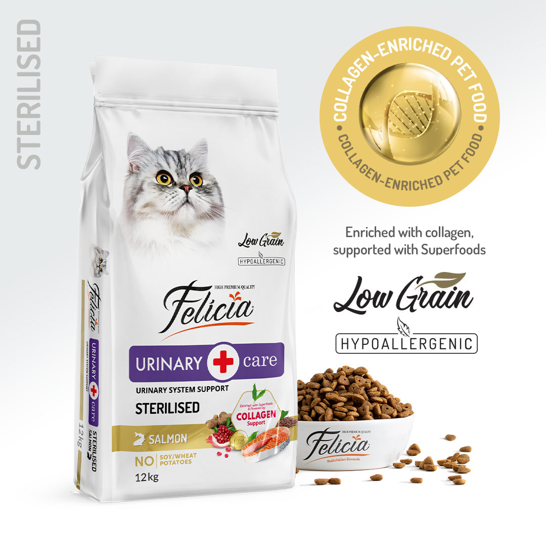 Felicia Hrană hipoalergenică pentru pisici adulte pe bază de somon cu colagen 12 kg