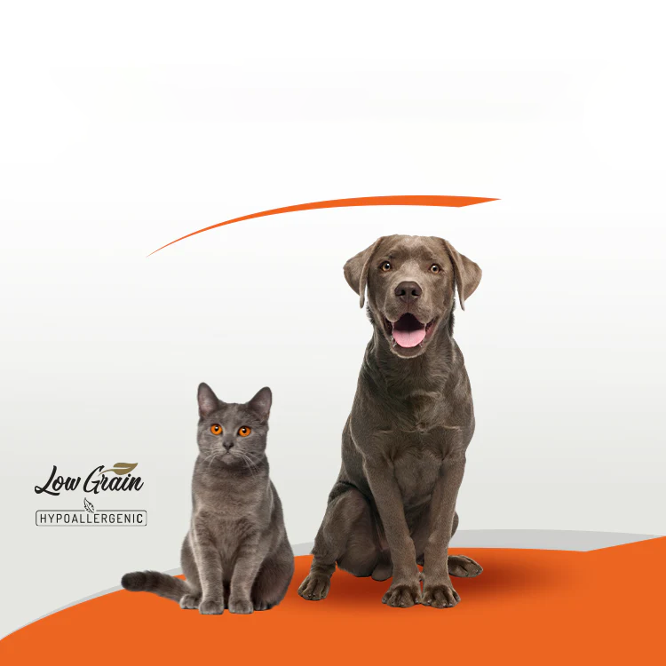 Importanța alegerii alimentelor hipoalergenice pentru pisici și câini și conceptul de alimente hipoalergenice