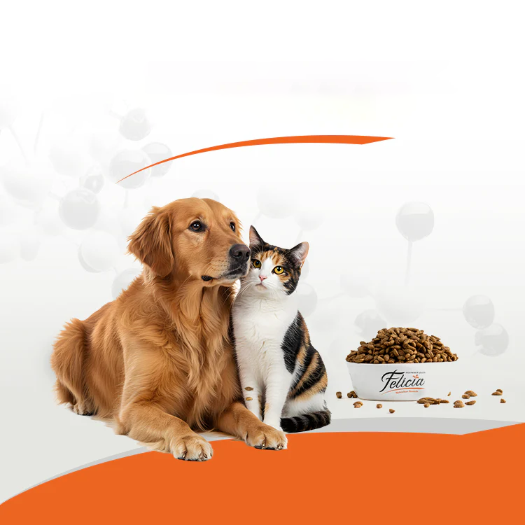 Ce înseamnă proteina hidrolizată în hrana pentru pisici și câini?