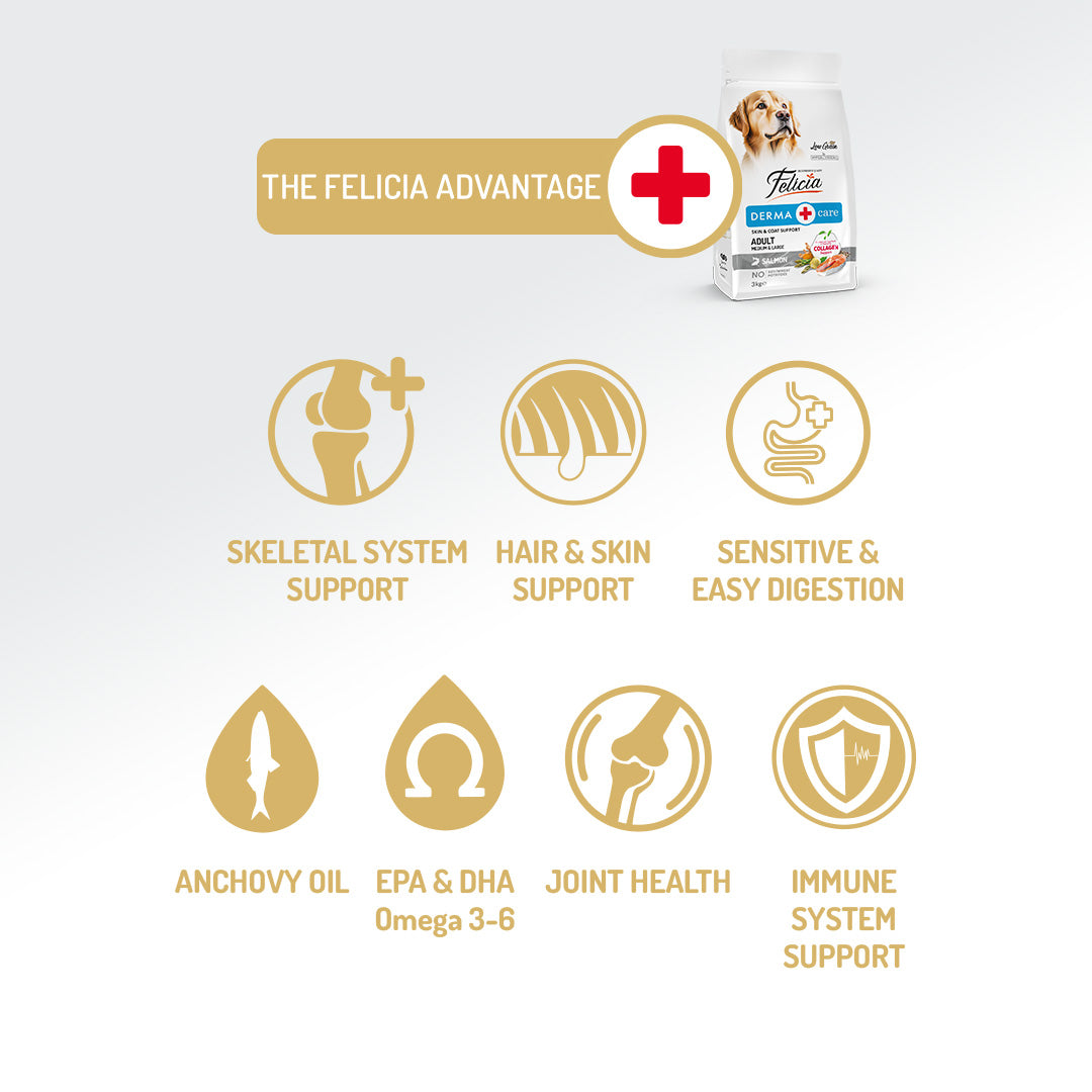 Felicia Hrană hipoalergenică pentru câini adulți cu somon și colagen 15 kg