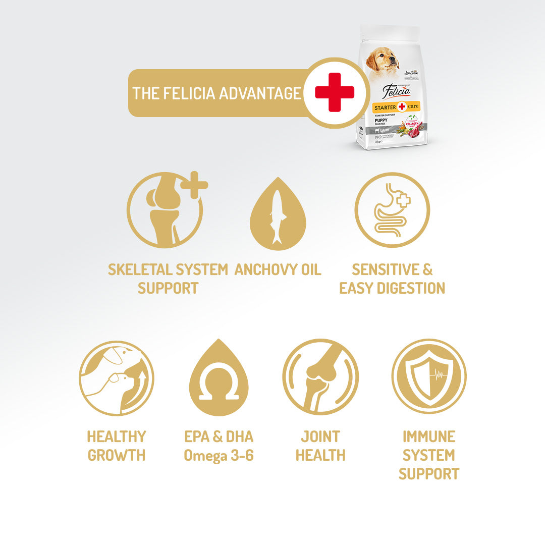 Felicia Hrană hipoalergenică pentru căței cu miel și colagen 3 kg
