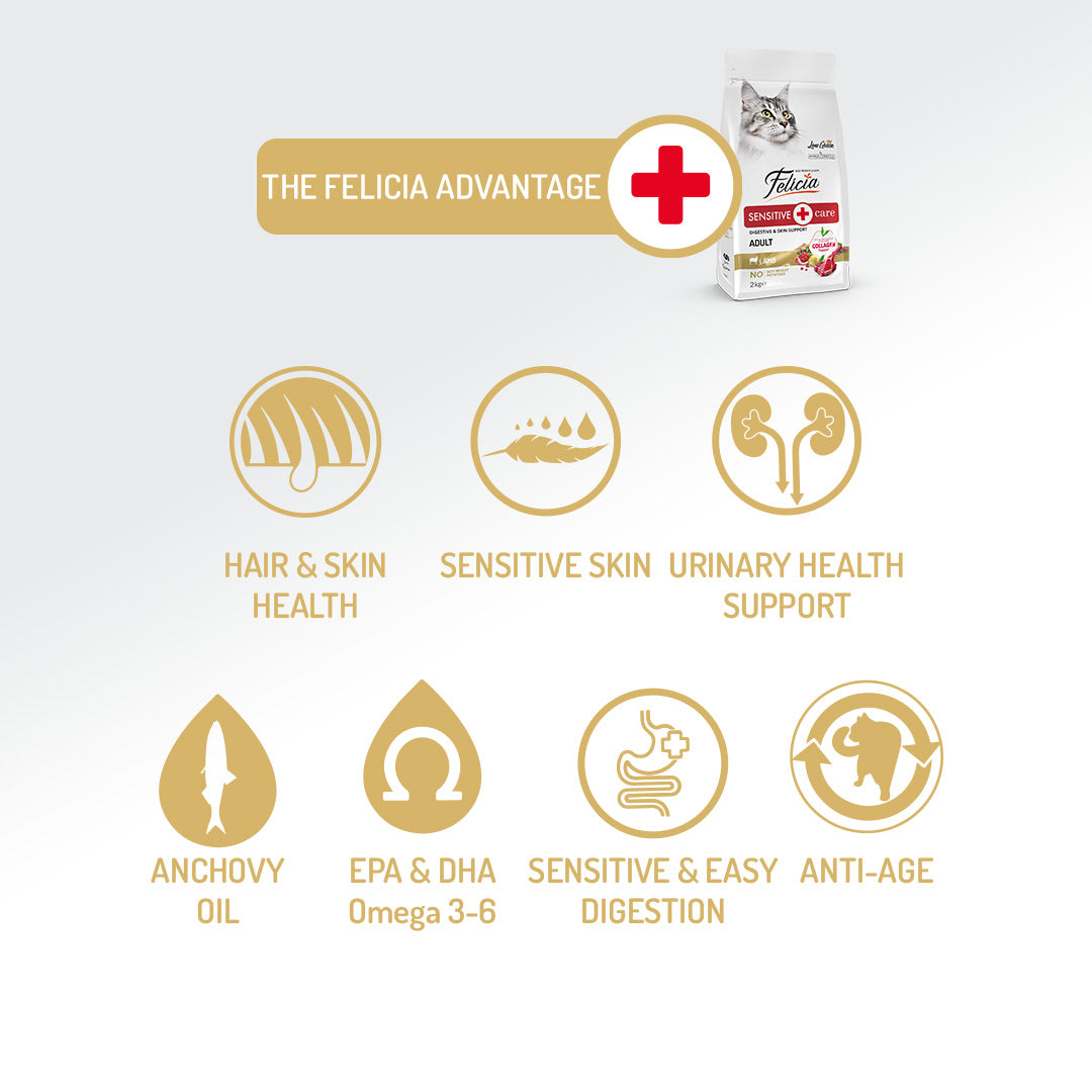 Felicia Hrană hipoalergenică pentru pisici adulte cu miel și colagen 12 kg