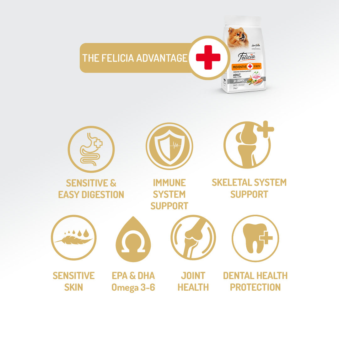 Felicia Hrană hipoalergenică pentru câini adulți de talie mică cu somon și colagen 6 kg