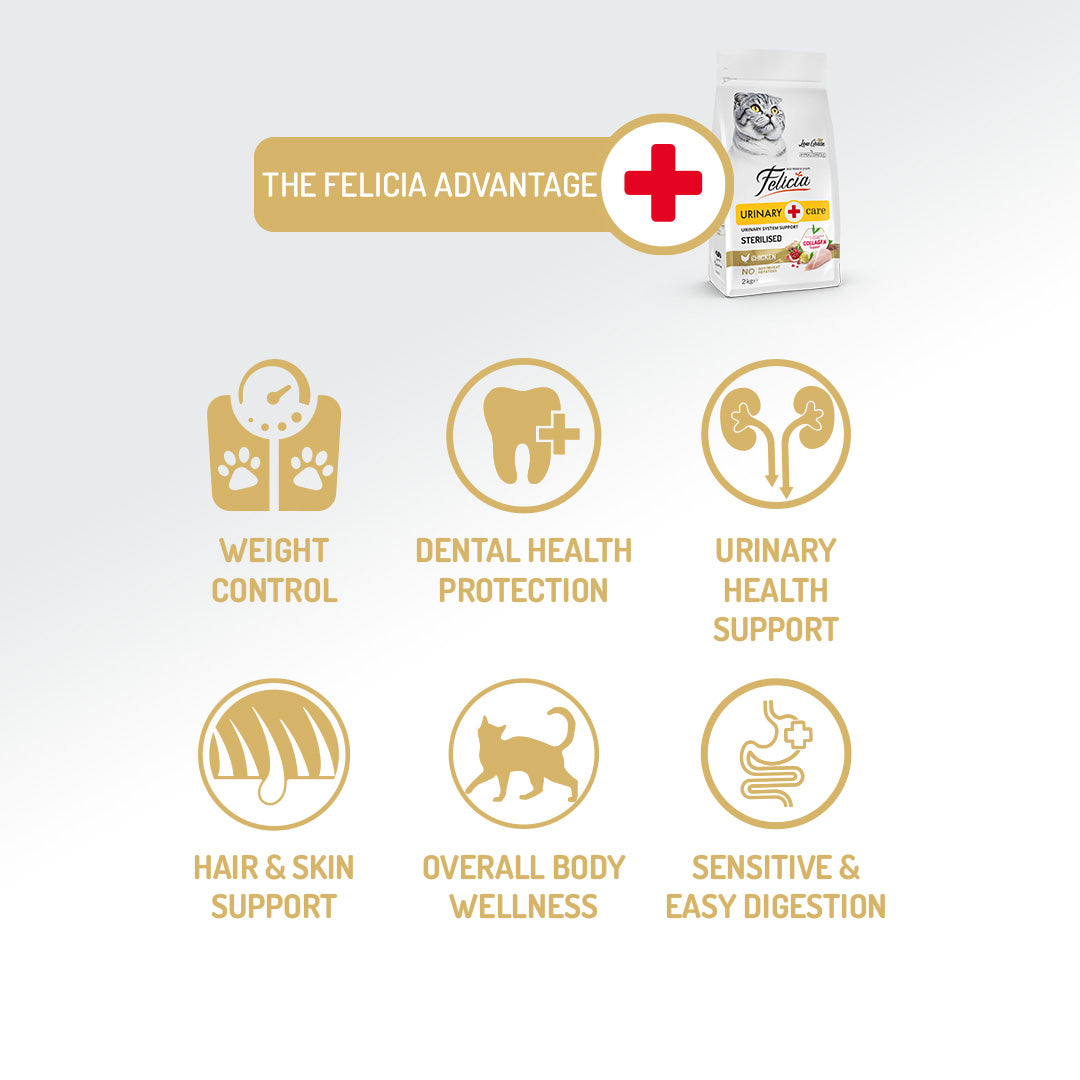 Felicia Formula hipoalergenică cu pui pentru pisici adulte sterilizate cu colagen 2 kg