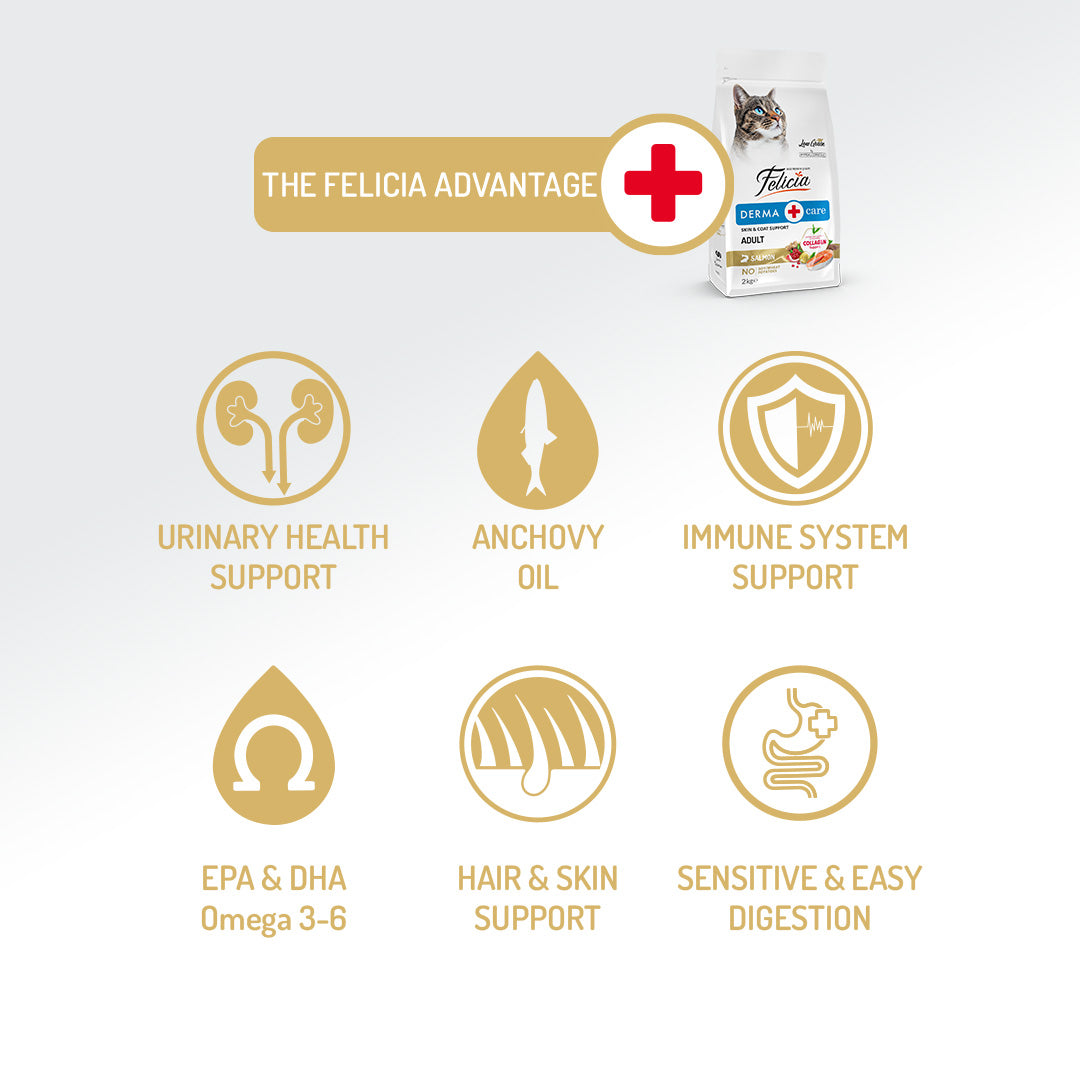 Felicia Hrană hipoalergenică pentru pisici adulte cu somon și colagen 2 kg