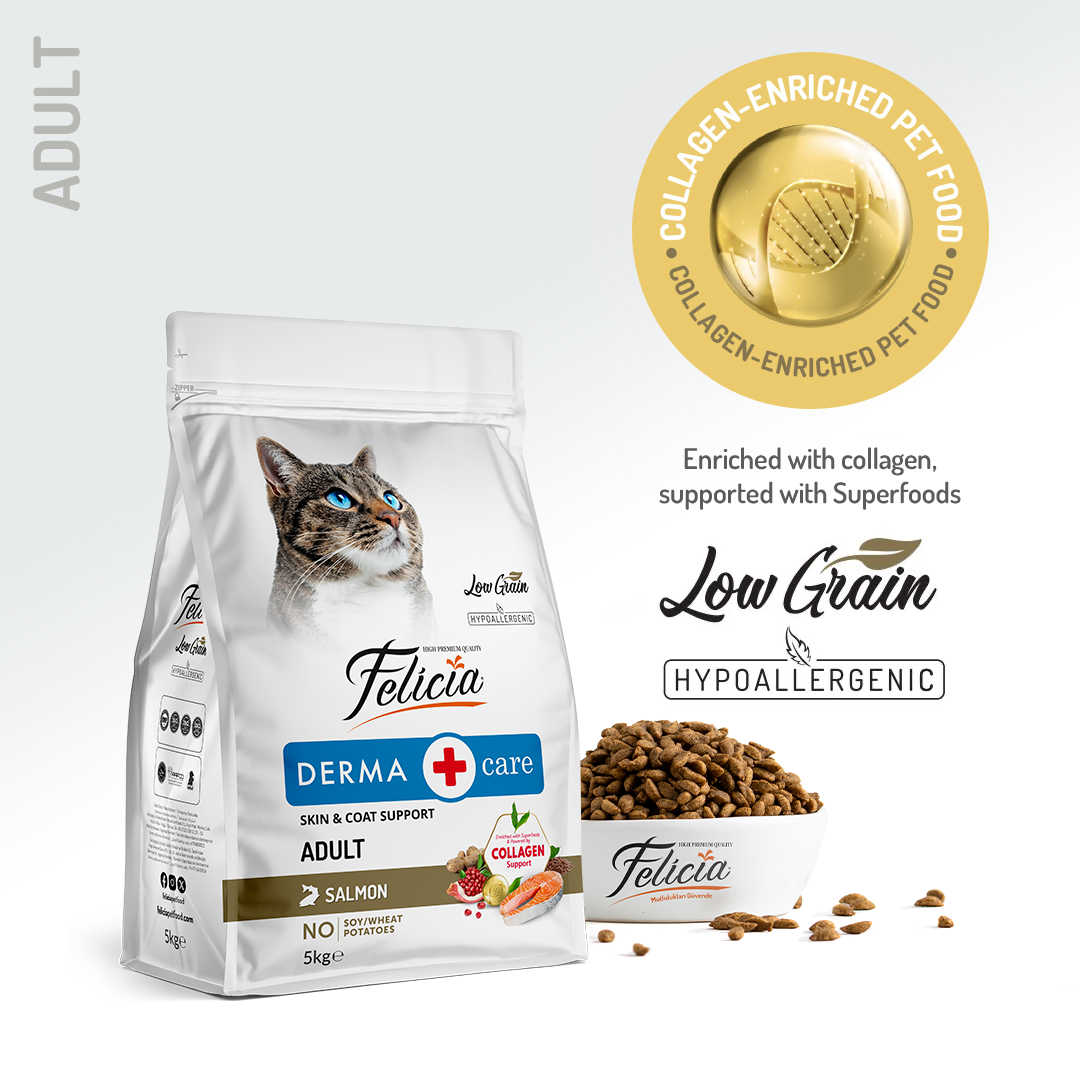 Felicia Hrană hipoalergenică pentru pisici adulte cu somon și colagen 5 kg