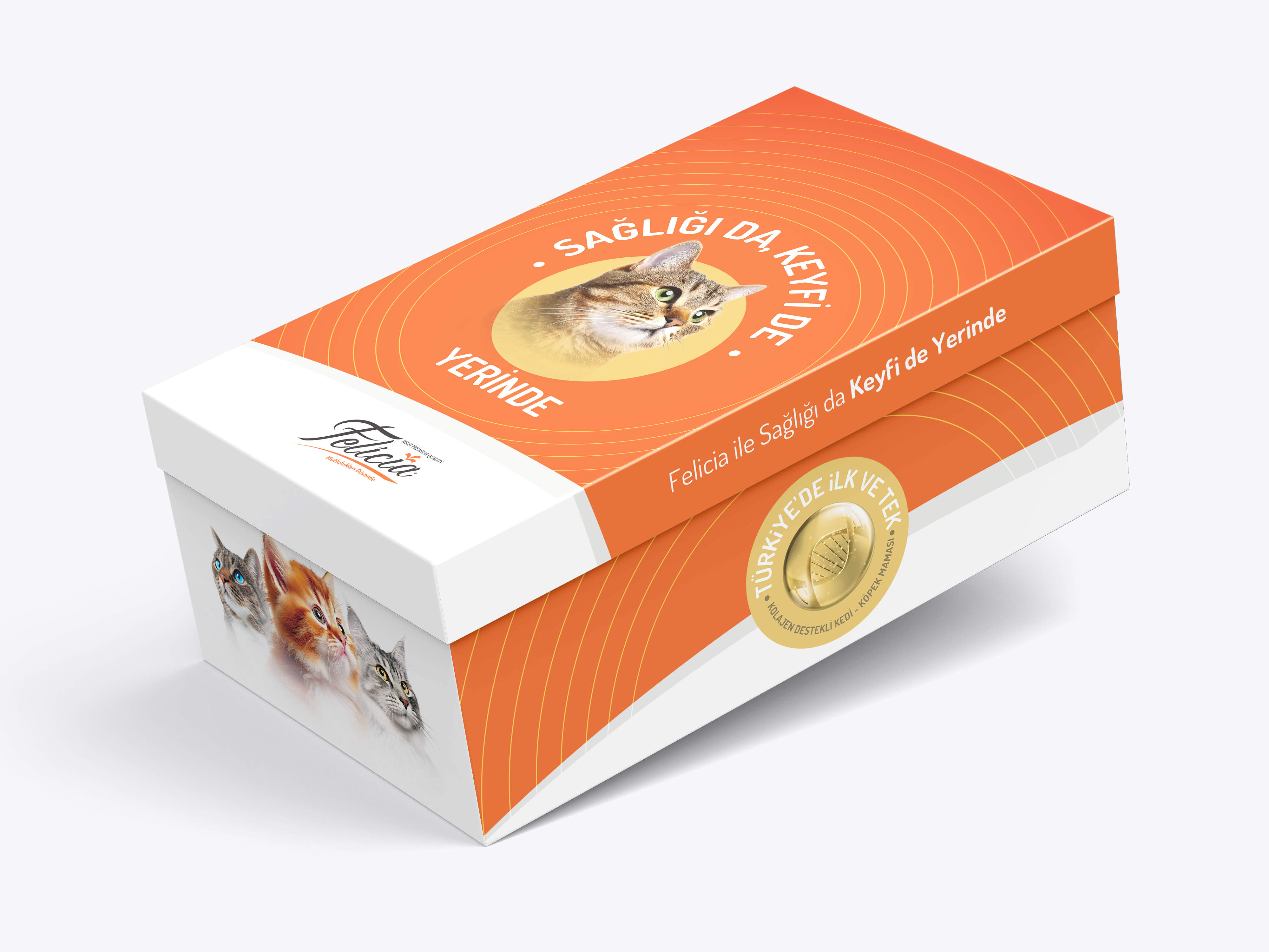 Felicia Kedi Yataklı Exclusive Box 2KG Kedi Maması