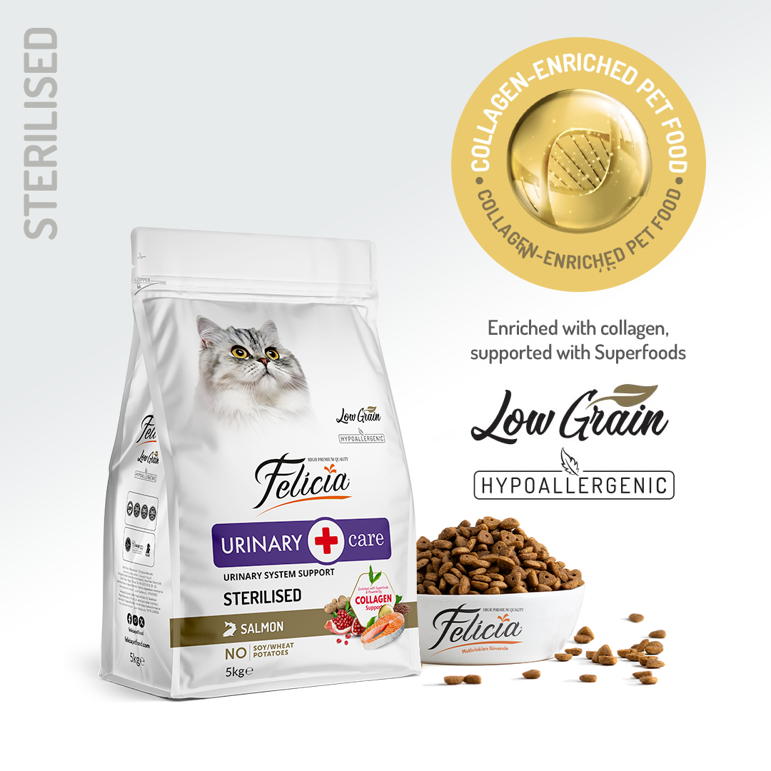 Felicia Hrană hipoalergenică pentru pisici adulte pe bază de somon cu colagen 5 kg